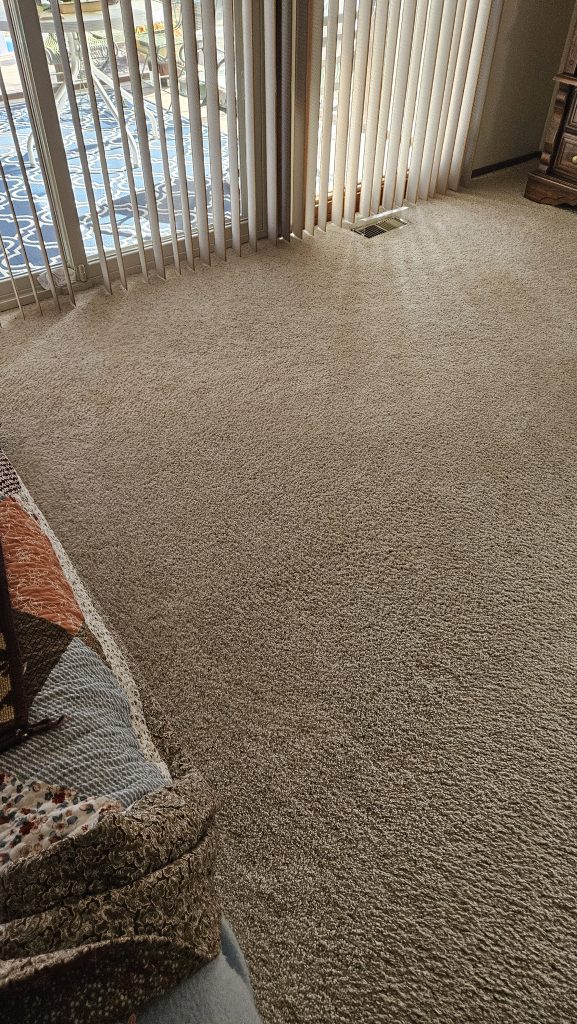 carpet cleaning
